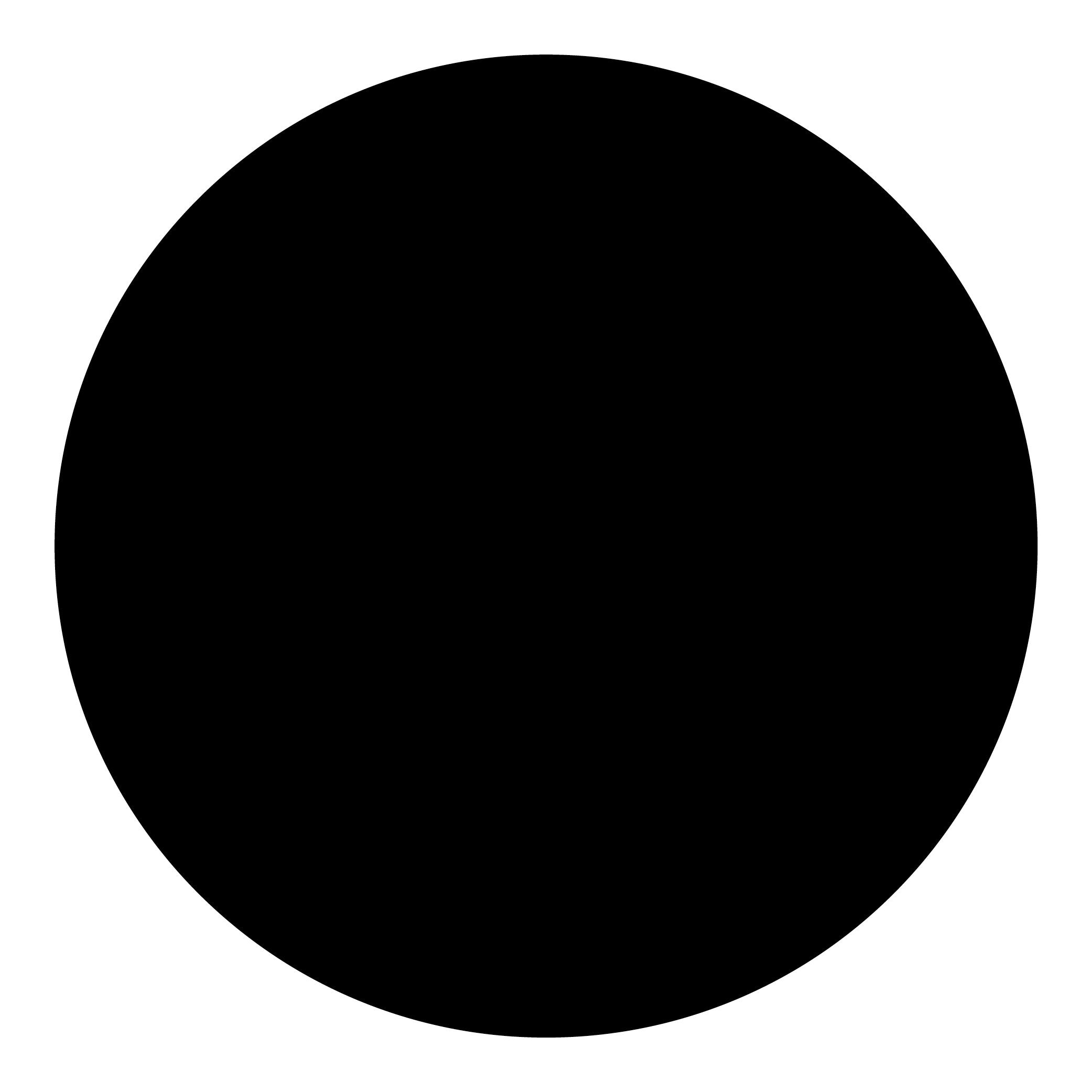 True Black Touch-Up Paint