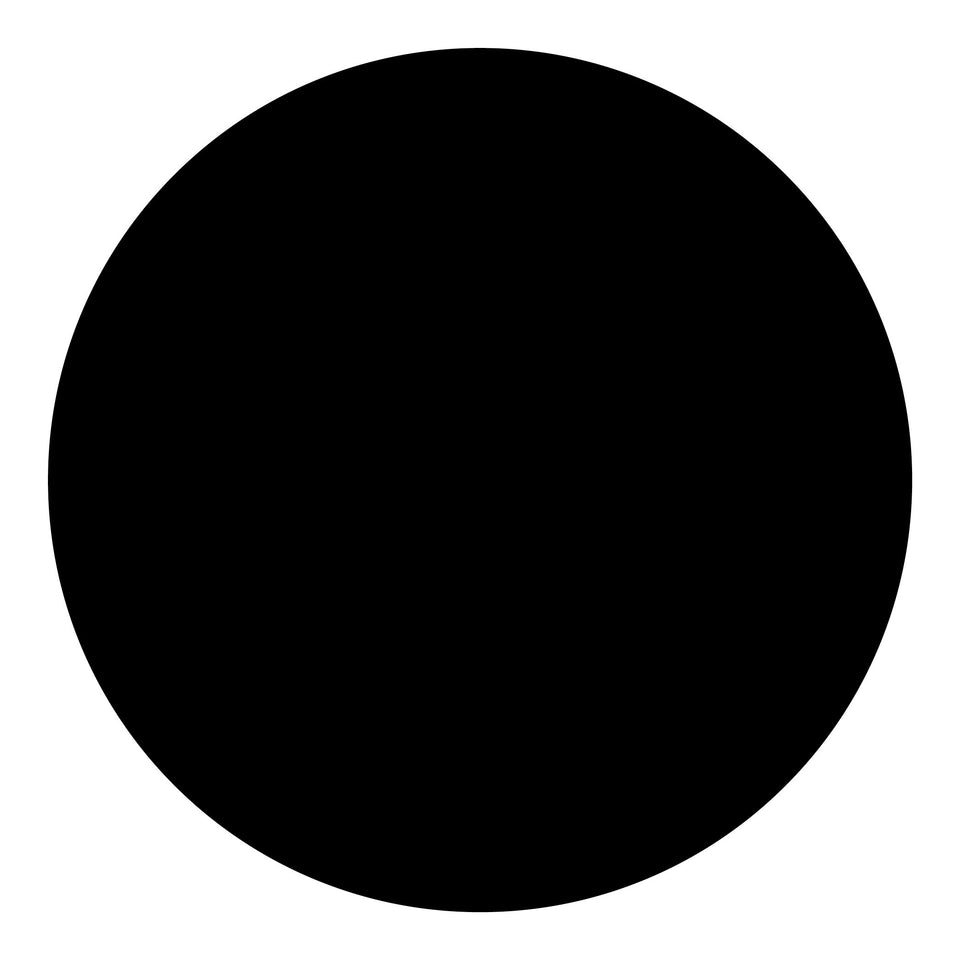 True Black Touch-Up Paint