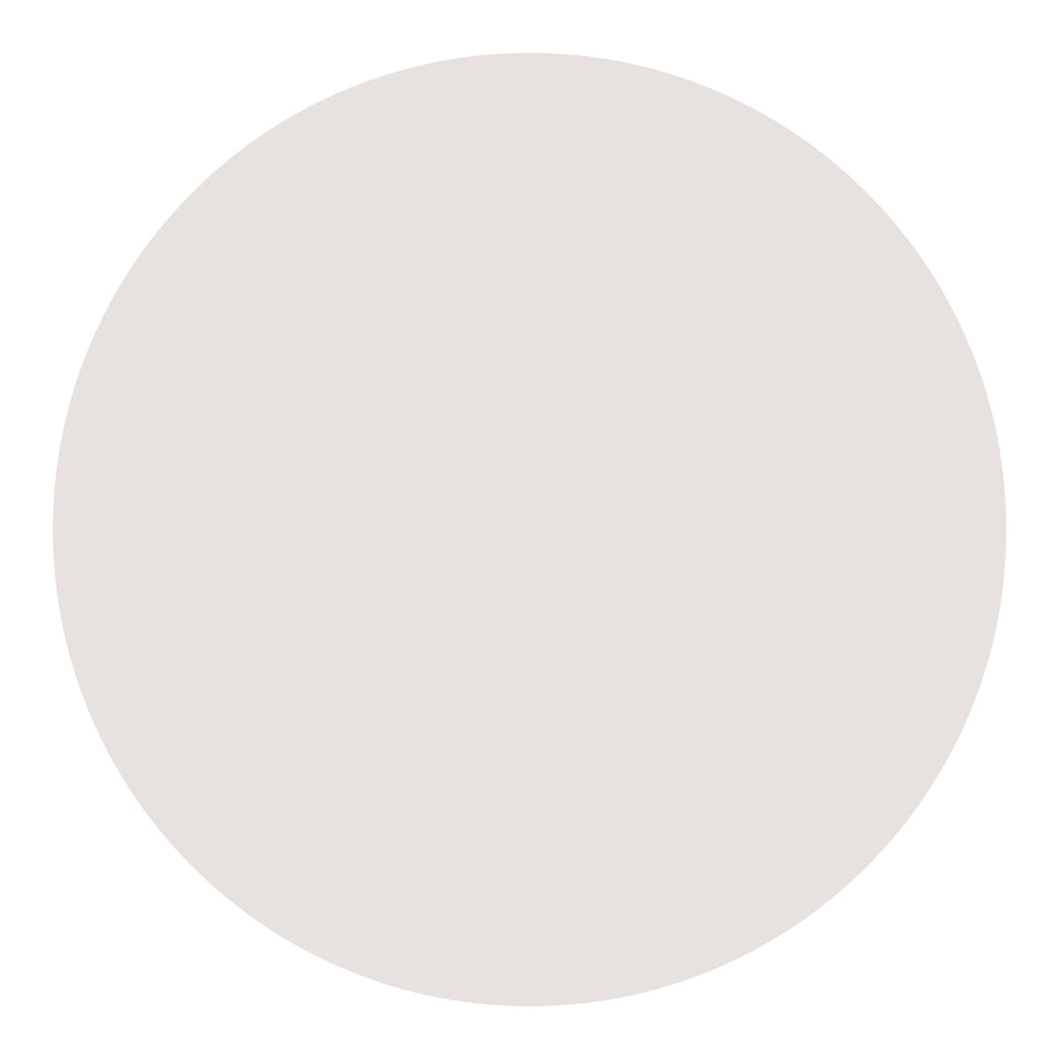 Classic White Touch-Up Paint